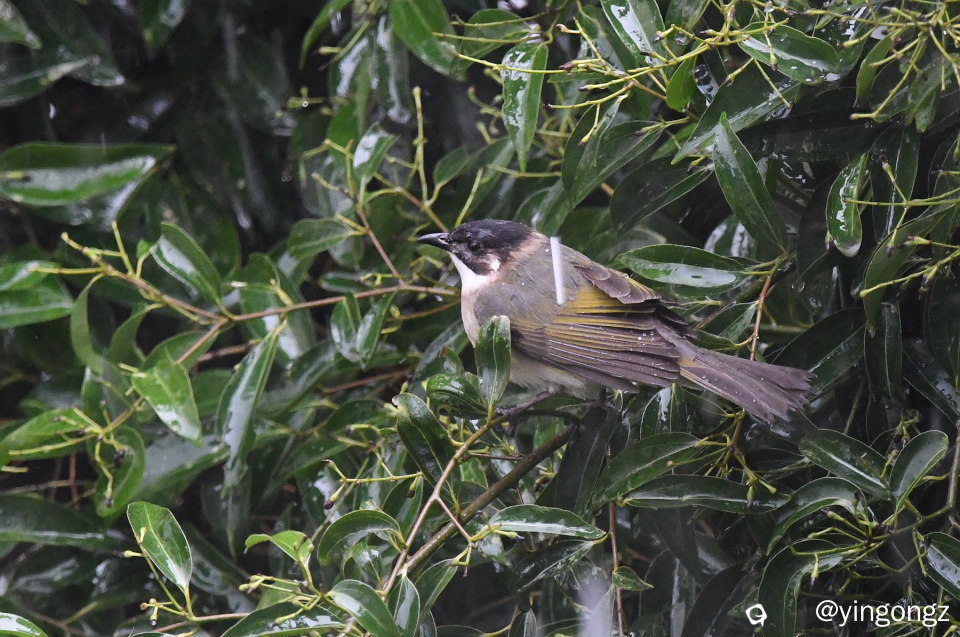 DSC_7629_副本.jpg