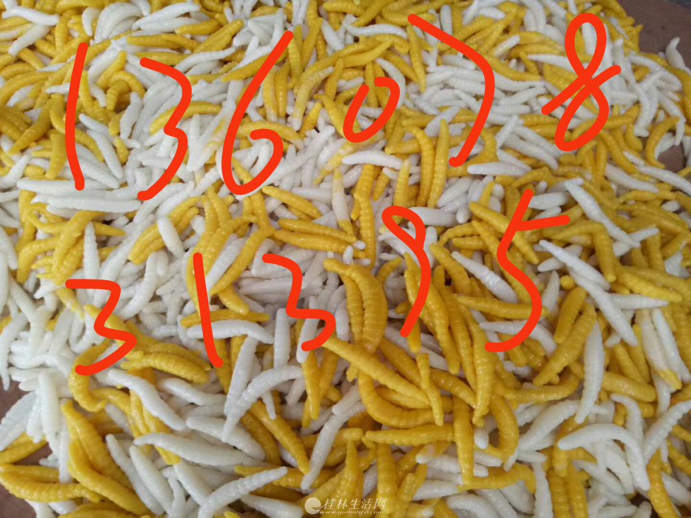 �¿�۳��   �����۳�  С��ȫ�Զ��۳��  ���÷۳��  ˮ�ַ۳�