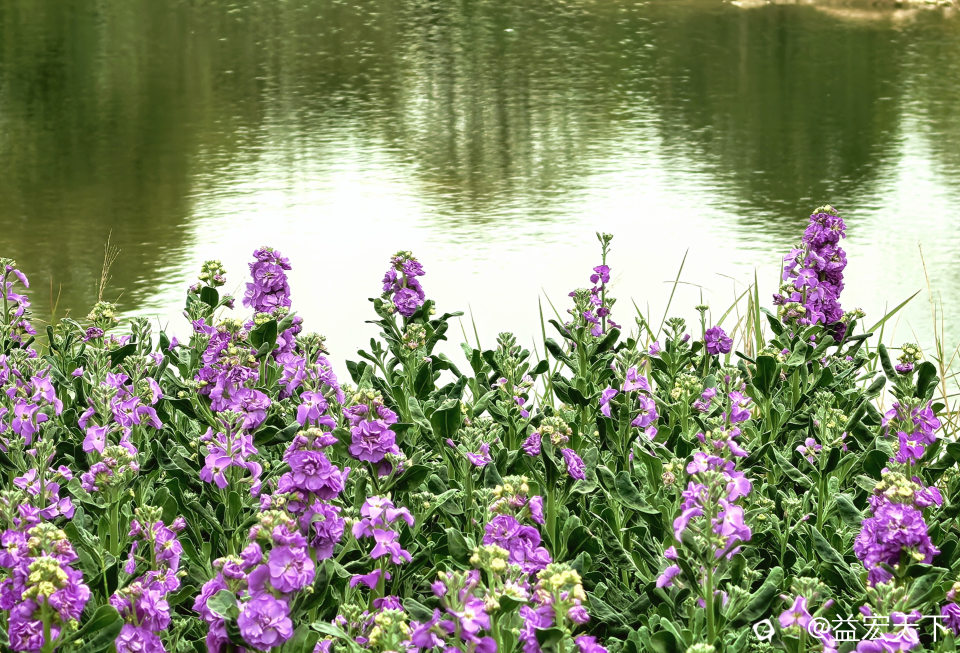 IMG_20260319_112911.jpg