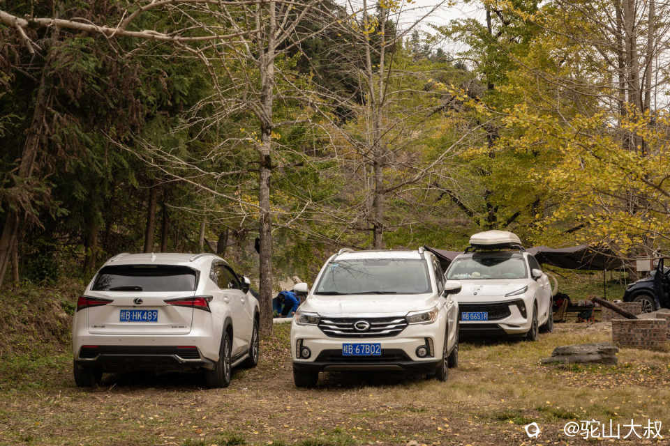 DSC04076-0 - 副本.jpg