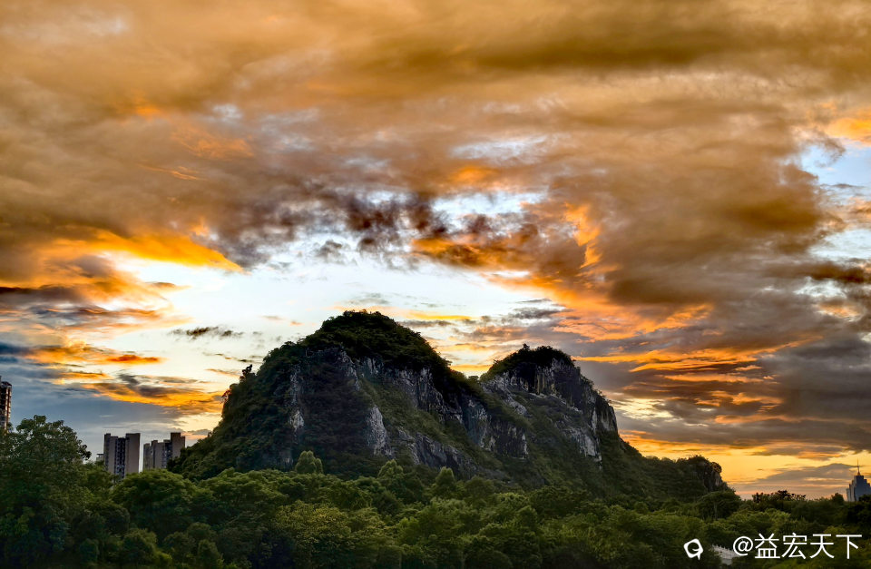 IMG_20260731_192424.jpg