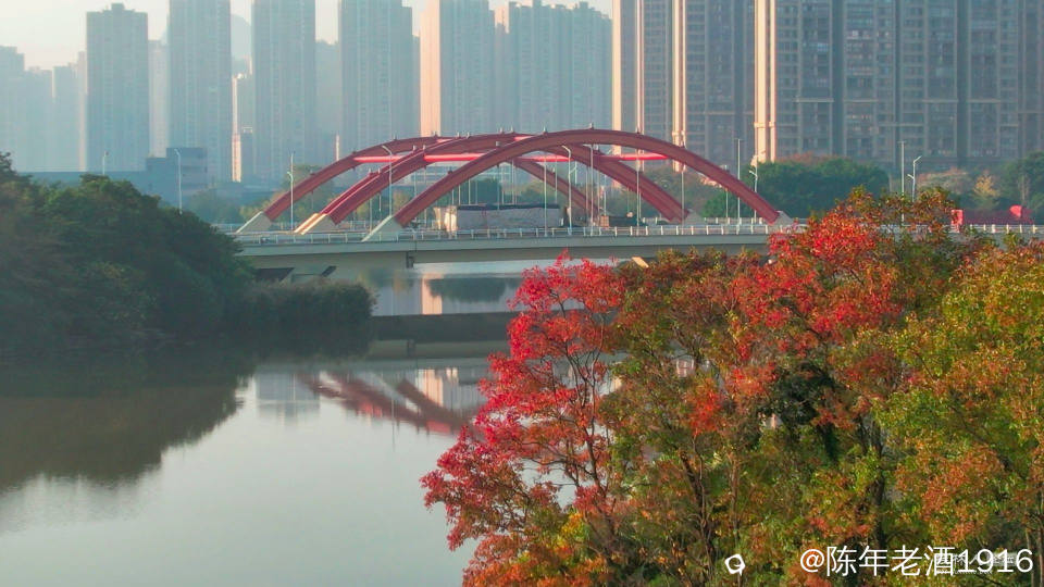 IMG_20231203_22043338-01_副本.jpg
