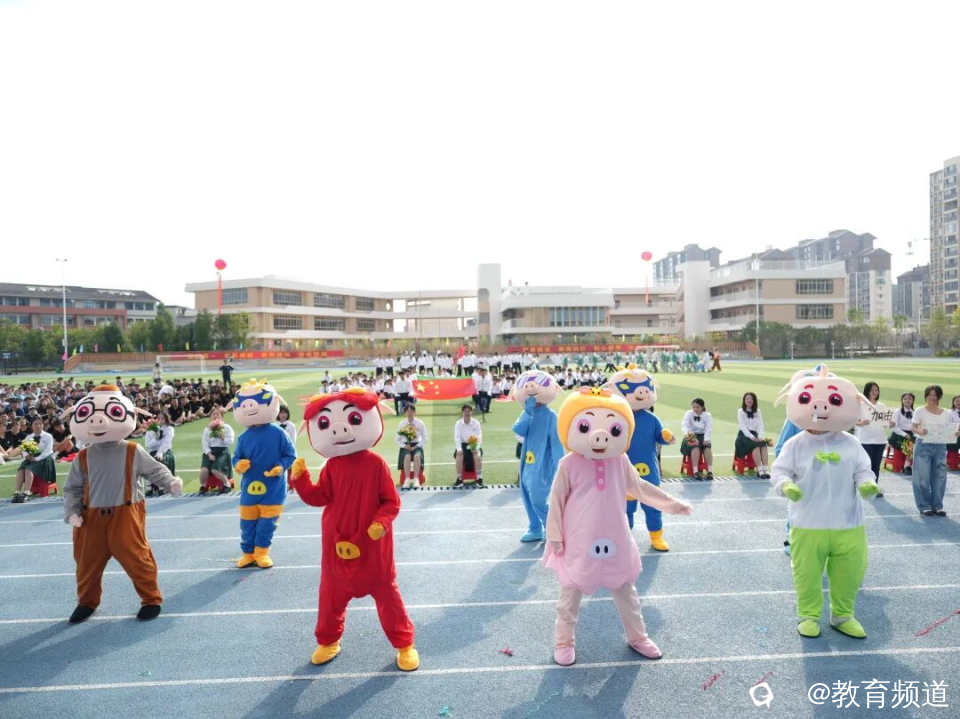 图片 29.png
