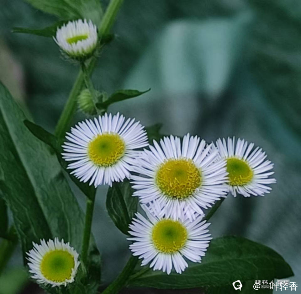 微信图片_20250108143641.jpg