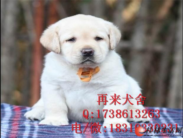 	 ������������ �̰�ɫ�������� ������������Ȯ��ֳ����ֱ����