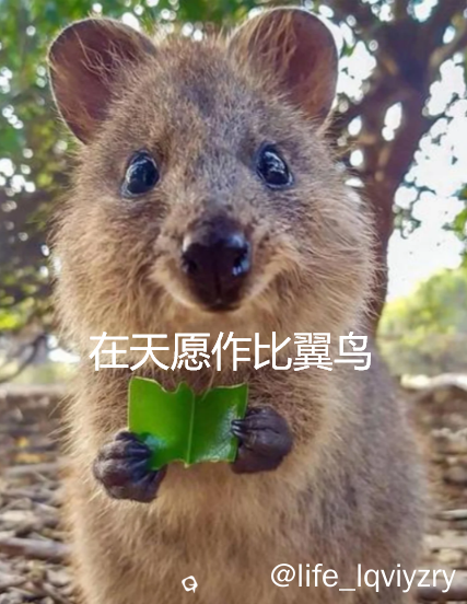 屏幕截图 2026-05-07 085443.png