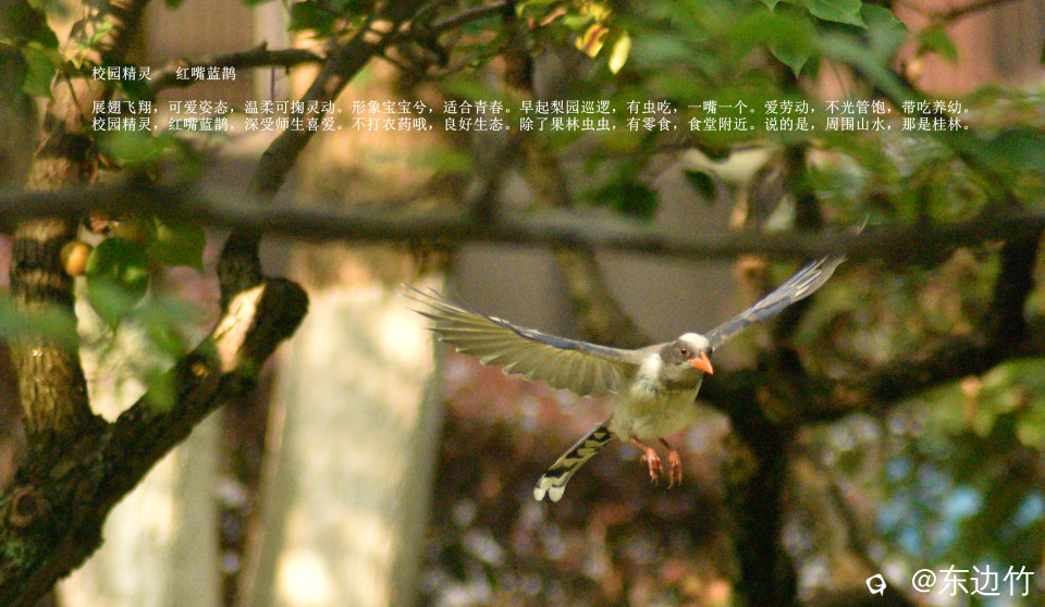 167_副本1.jpg