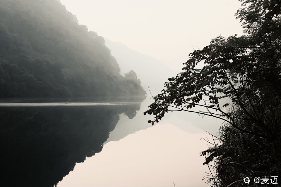 B5B025F2-503C-4A08-88D2-CE70F52E3914.jpeg