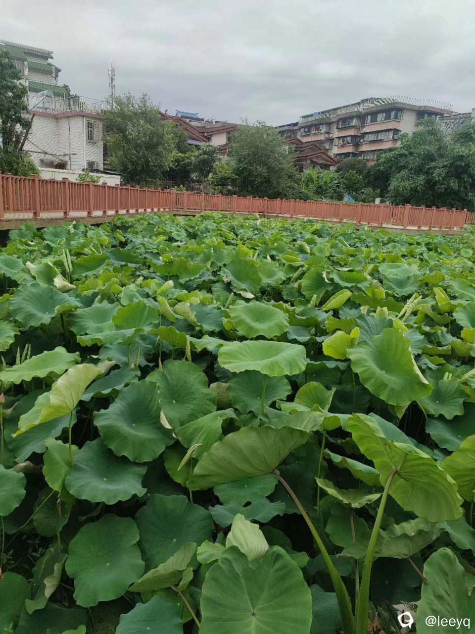 微信图片_20240601205351.jpg