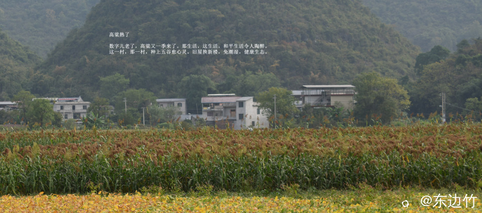 732_副本.jpg