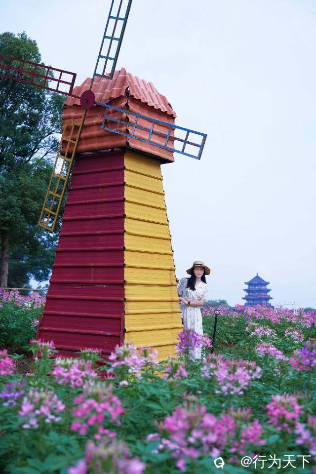 3cf45c4d-9bd2-bec3-5c31-fc427a21c0e2.jpg