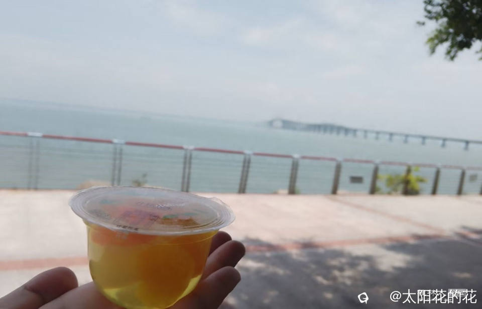 Image_1728107276795.jpg