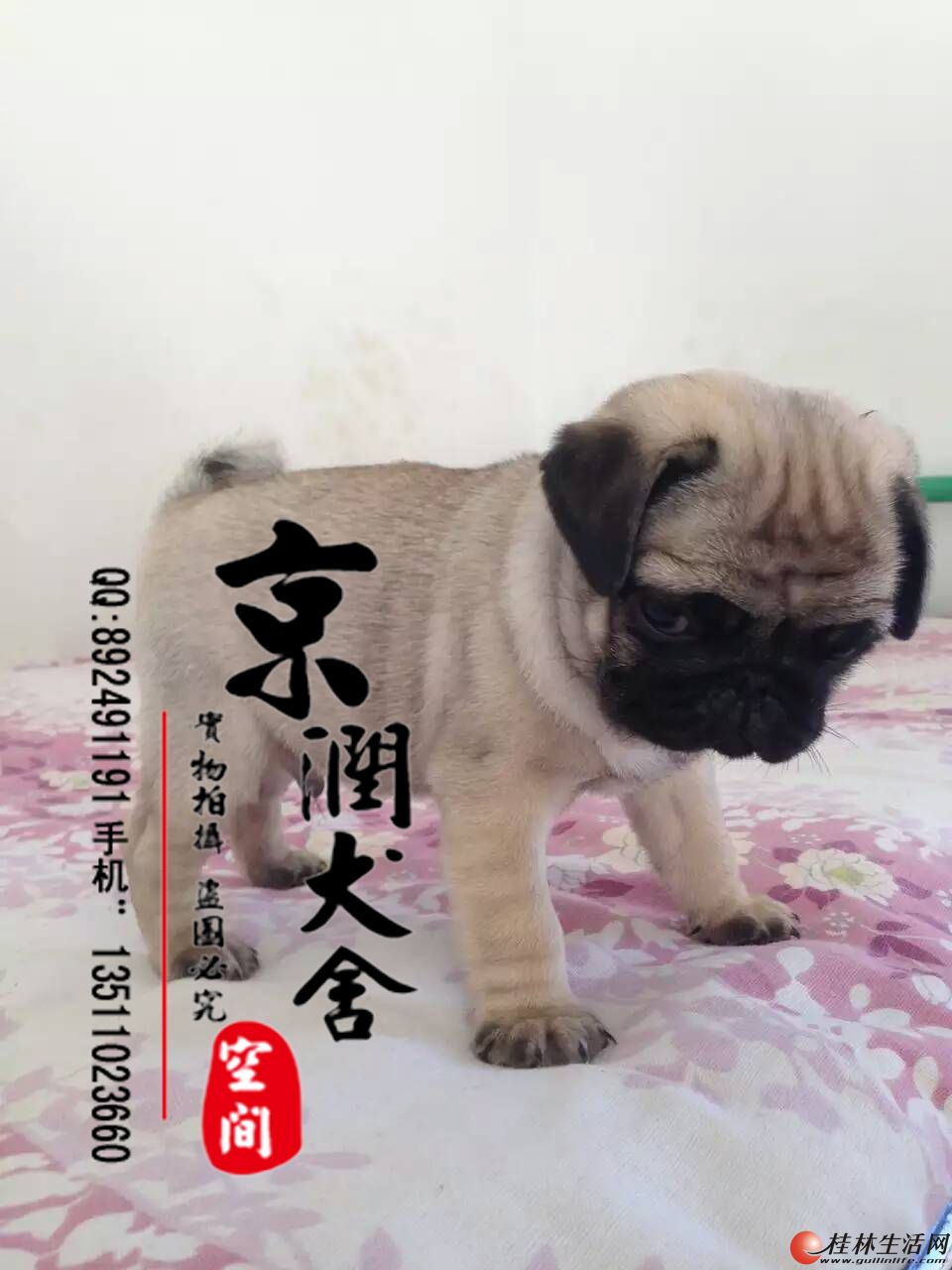 ���ְ͸�Ȯ�ļ۸� �͸�Ȯ��ʲô �͸�Ȯ��ι��