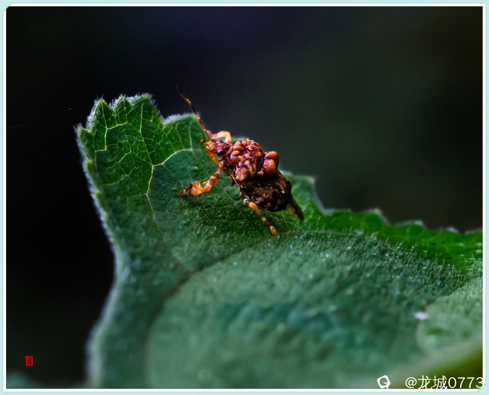 847c2d4e-c650-6fcf-a724-a775de0156c2.jpg