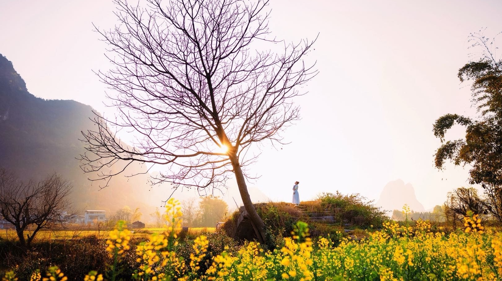 春天的銅橋原來這么美