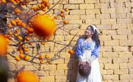 祝大家新年柿柿如意