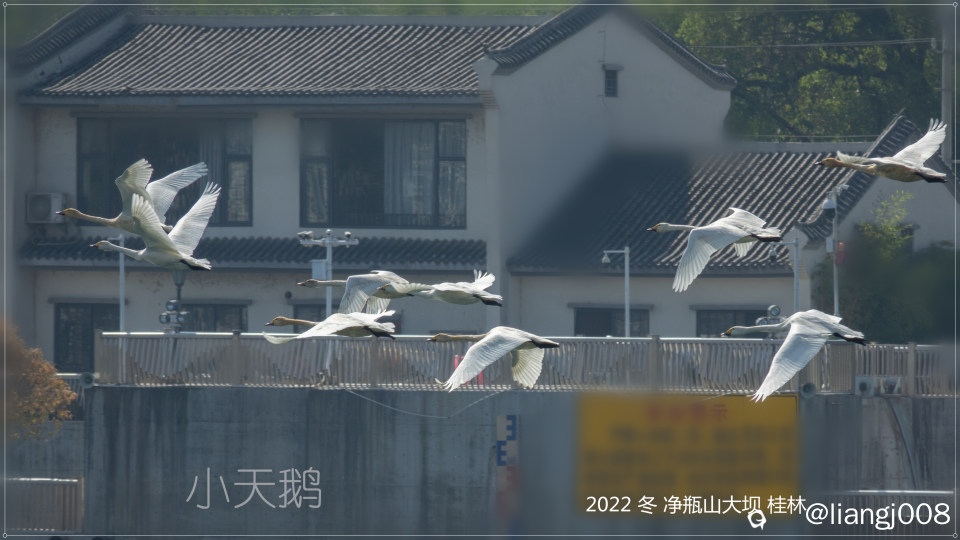 DSC01502_副本_副本.jpg