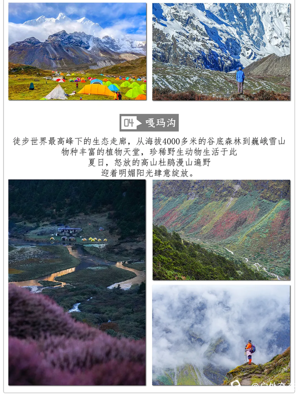 微信图片_20240318112644.png