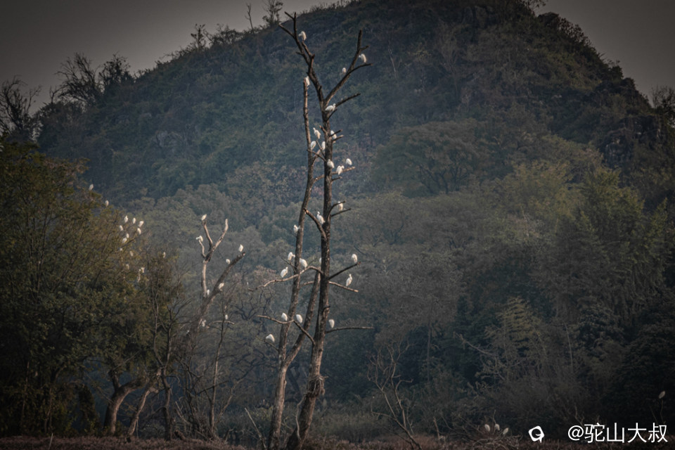 DSC04561-0 - 副本.jpg