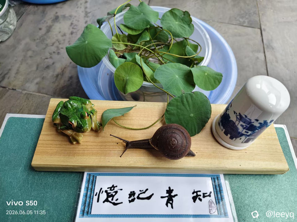 微信图片_20260605123636_176_117.jpg