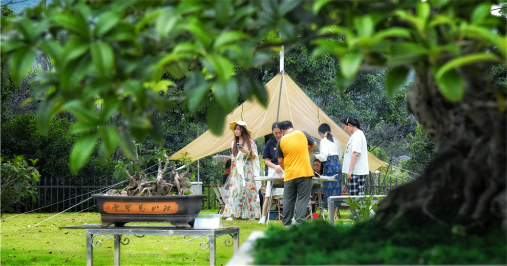 在桂花公社闻到2025年的第一缕桂花香