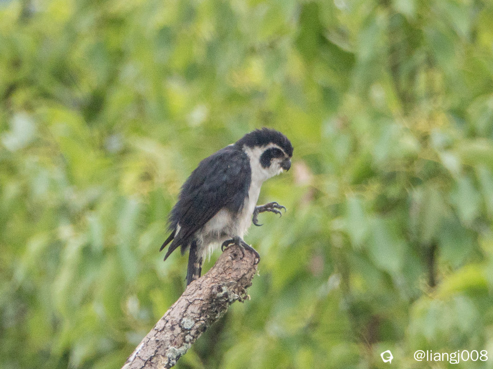 DSC08876_副本_副本.jpg