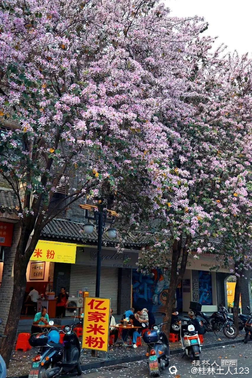 微信图片_20250519170140.jpg