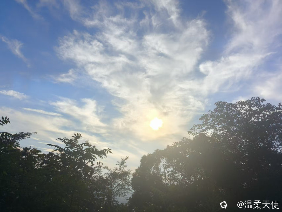 微信图片_20260726172810_63_10.jpg