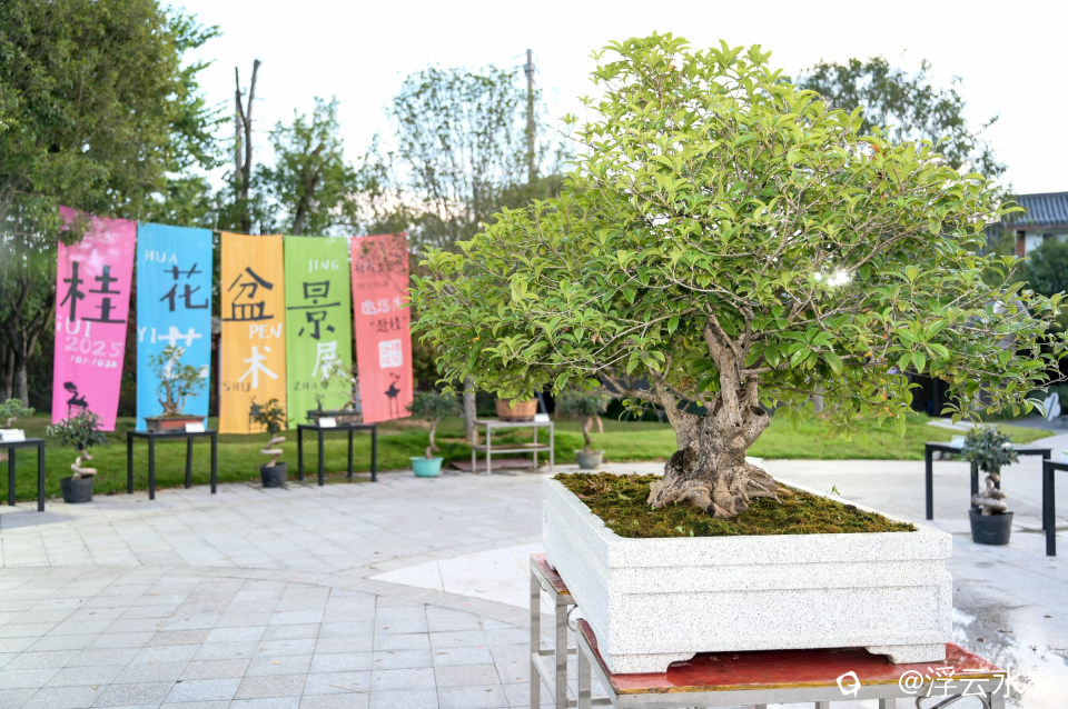 DSC_5754-10 [最大宽度 2400 最大高度 1800].jpg