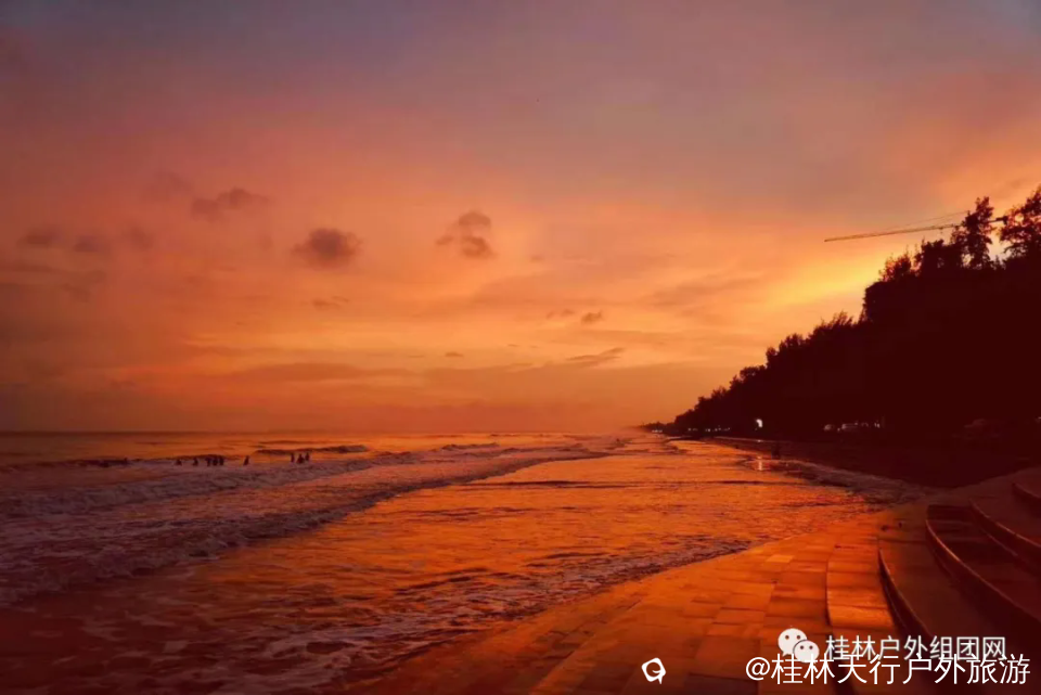 640.webp (2).png