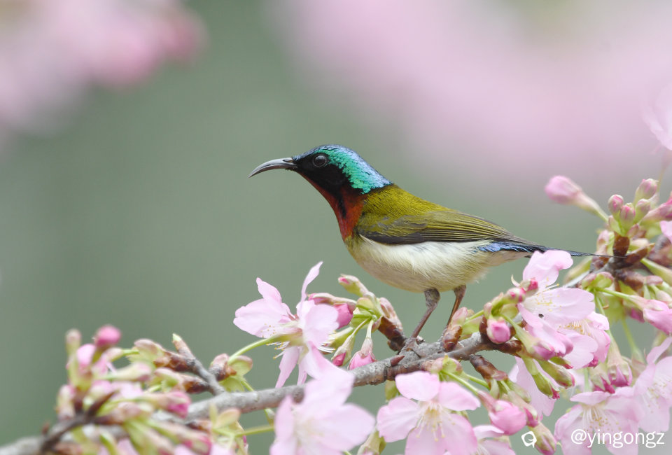 DSC_4773_副本.jpg