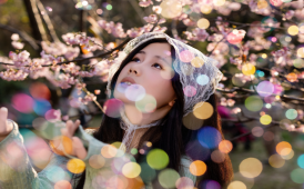 南溪山櫻花開了～