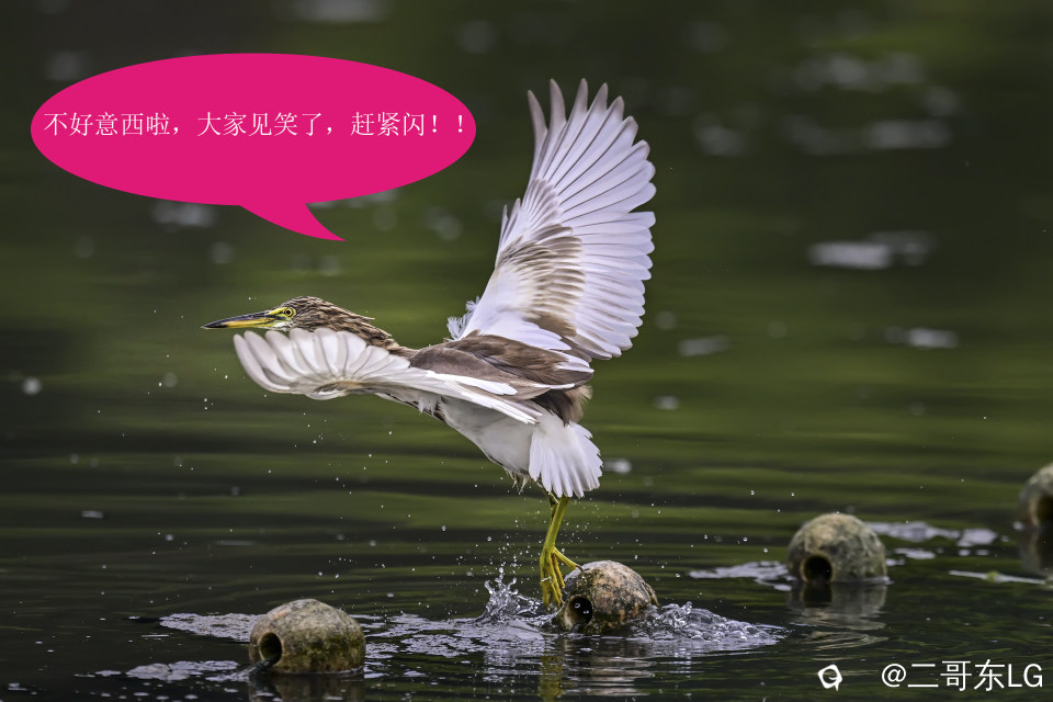 唉呀妈呀快闪开急急急 (9).jpg