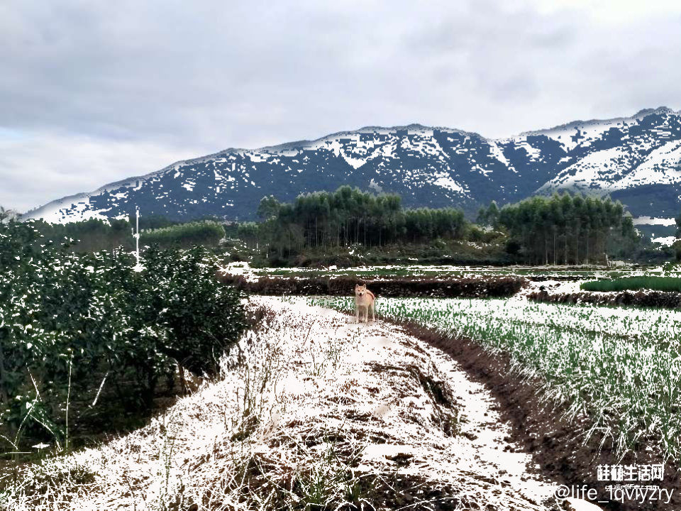 20251207230130front2_0_2251410_Fu9boK8RWM67pnvymQhWCJT2V8z1 (1).png