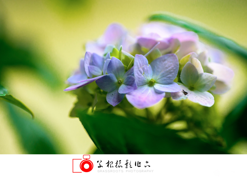 _DSC7768 拷贝_副本.jpg