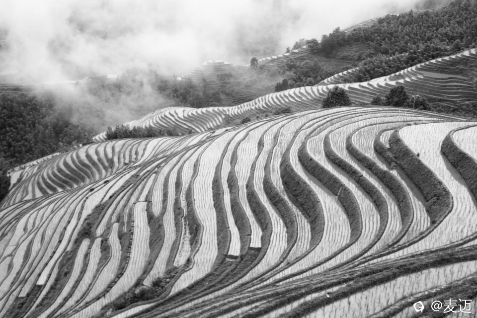 AD75117F-6C5D-4C12-9546-65D08BFD0332.jpeg