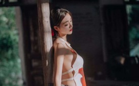 褔利·夏未