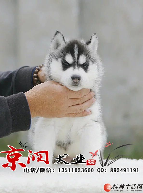 ��ô����ֹ�ʿ�湷