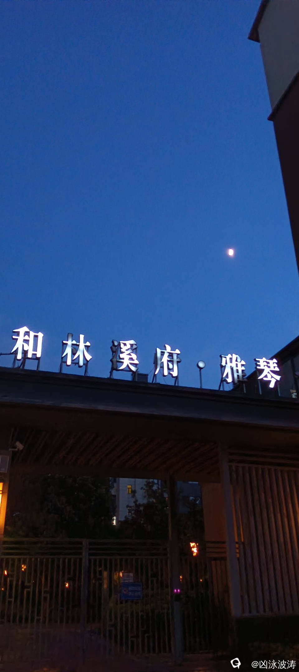 728a08e4-ba14-bf6d-5559-28b9ce51a169.jpg