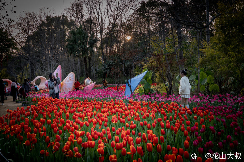 DSC05472-0 - 副本.jpg