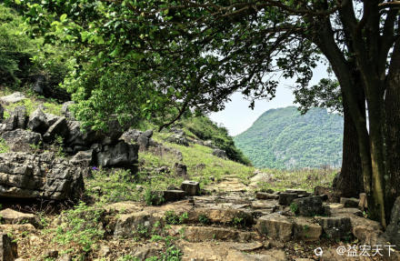 徒步桂林青岩嵅古道，草低浮牛影