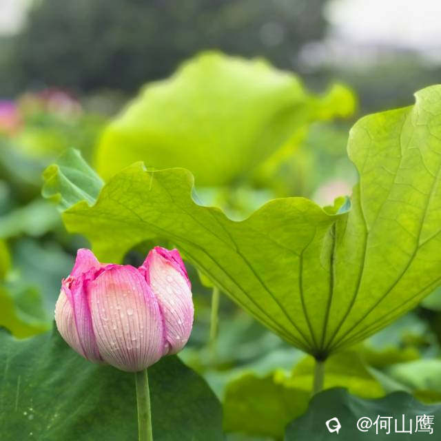 b944b970-2609-5240-47fa-e99de11dfa83.jpg