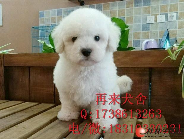 �������ֱ��ܶ���Ǯ ���ֱ�����Ȯ ��������Ȯ