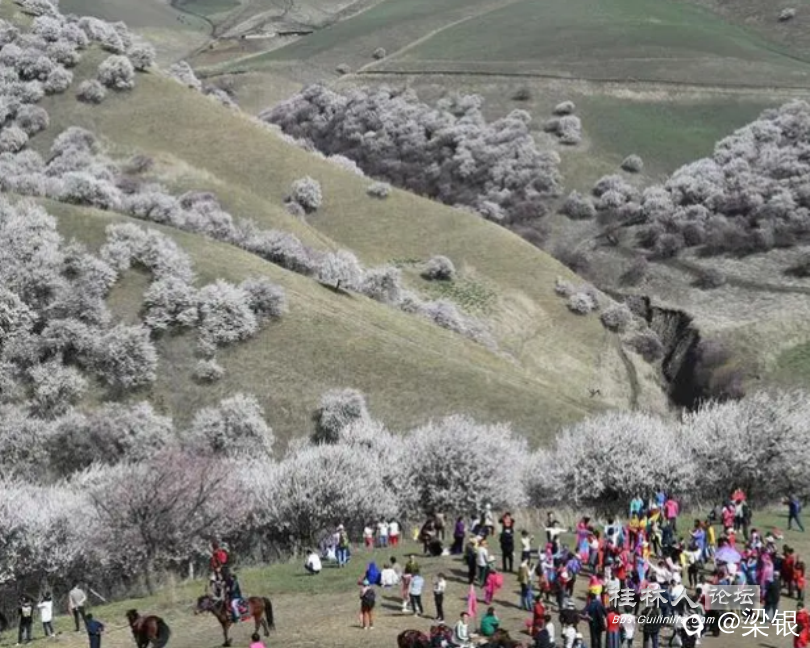 上春山 (810x648).png