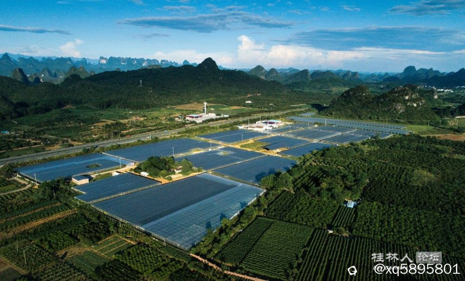 种业示范区大棚