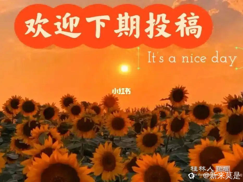 src=http___ci.xiaohongshu.com_6fa56644-c463-2d5d-e519-215f8c36f9f8_imageView2_2_.jpg