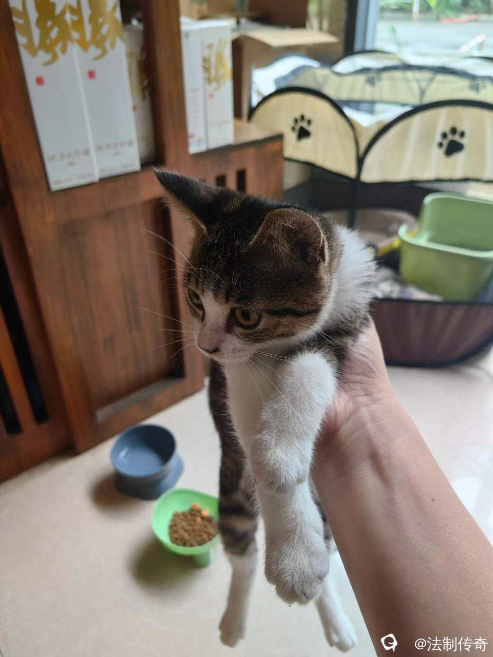 7136cd11-c5c1-5ee3-7d11-8a0eedb4f975.jpg