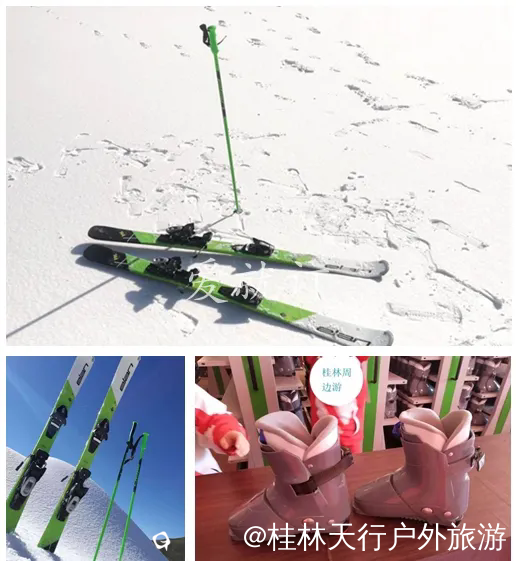 640.webp (5).png