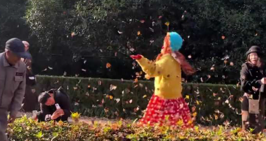 大爷帮拍照的小姐姐撒落叶，网友：今日份的浪漫是大爷给的！