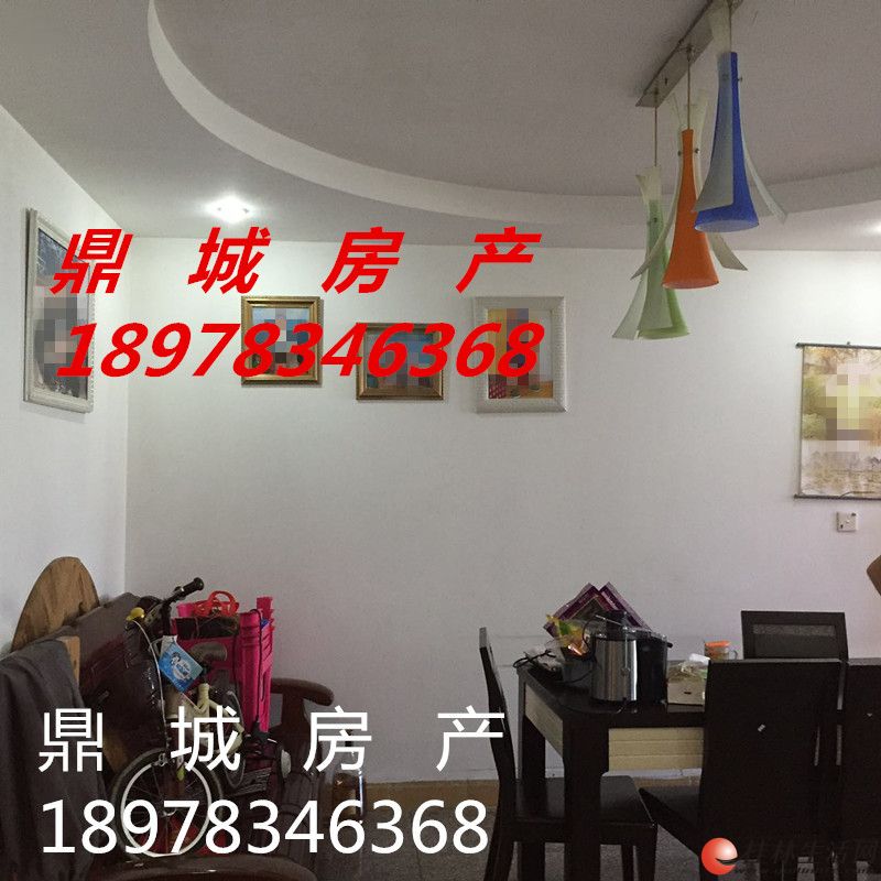 ����������꡾���С����3��2��2�� 122�O ��װ�� ϡȱ���� �Լ۱ȸ�